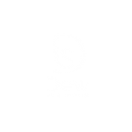 Dew Skin Shop logo